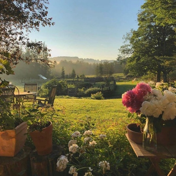 Meet your Posher, Celeste - Picture 1 of 1